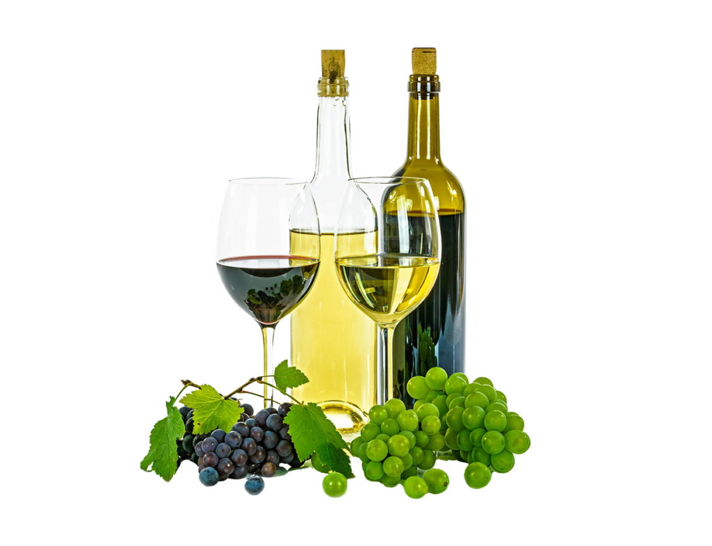 Vinos, sabores y aromas